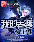 《我的老婆是土匪》封面