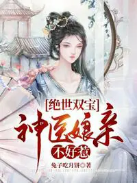 《我的老婆是执政官》封面