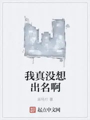 《我真没想出名啊》封面