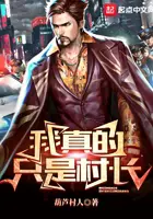 《我真的只是村长》封面