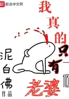 《我真的只有一个老婆》封面