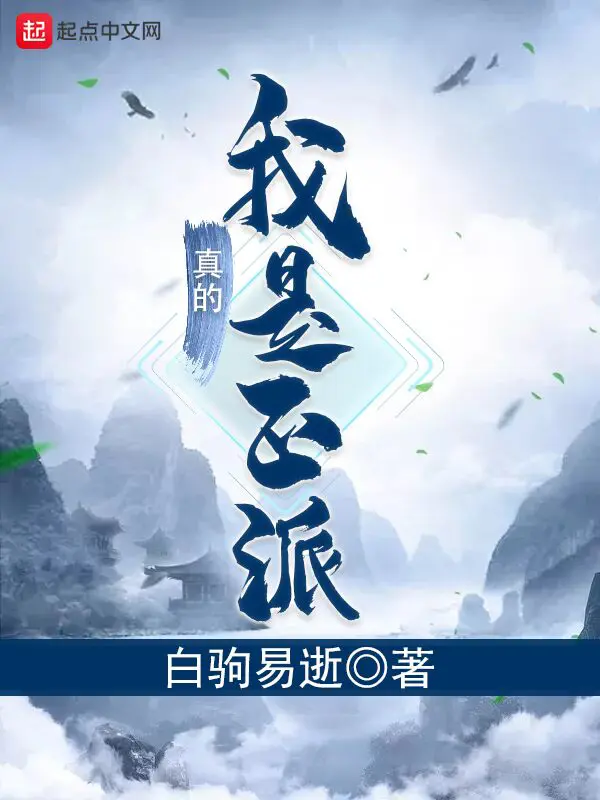 《我真的是正派》封面