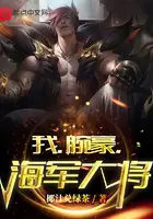 《我，腕豪，海军大将》封面