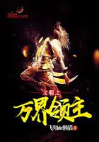 《文明之万界领主》封面