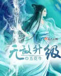 《无敌升级》封面