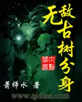 《无敌古树分身》封面