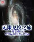 《无限兑换之旅》封面