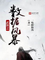 《武侠之数据风暴》封面
