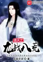 《武侠之龙战八荒》封面