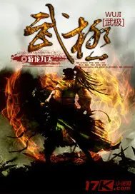 《武极》封面