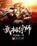 《武极宗师》封面
