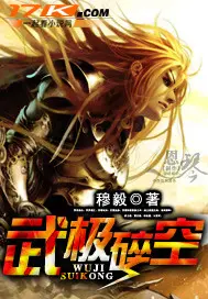 《武极碎空》封面