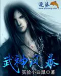 《武神风暴》封面