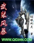 《武装风暴》封面