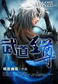 《武道至尊》封面