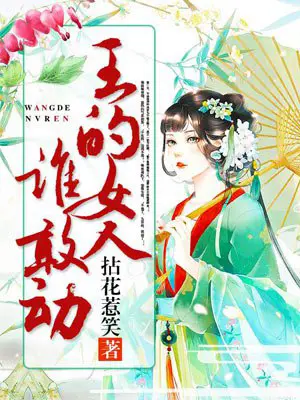 《王的女人谁敢动》封面