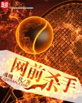 《网前杀手》封面