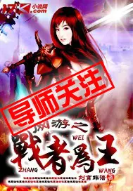 《网游之战者为王》封面