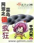 《网游之菜鸟很疯狂》封面