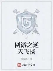 《网游之逆天飞扬》封面