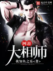 《网游大相师》封面
