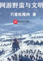 《网游野蛮与文明》封面