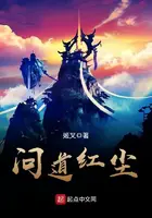 《问道红尘》封面