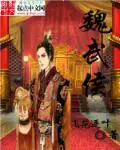 《魏武侯》封面