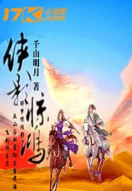 《侠影惊鸿》封面