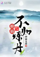 《修仙不如炼丹》封面