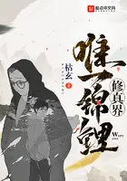 《修真界唯一锦鲤》封面