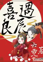 《喜遇良辰》封面