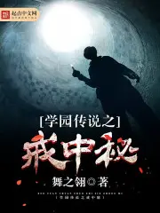 《学园传说之戒中秘》封面
