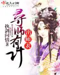 《寻师有计出师表》封面