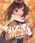 《寻找走丢的舰娘》封面