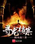 《寻龙档案》封面