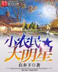 《小农民大明星》封面
