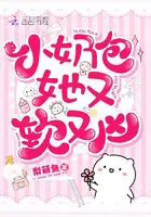 《小奶包她又软又凶》封面