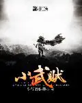 《小武贼》封面