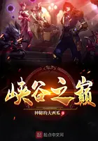 《峡谷之巅》封面