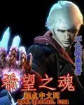 《希望之魂》封面