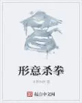 《形意杀拳》封面