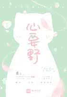 《心要野》封面