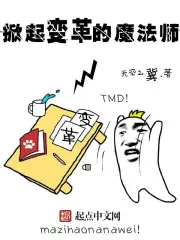 《掀起变革的魔法师》封面