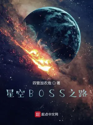 《星空BOSS之路》封面