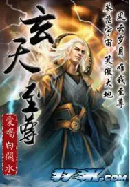 《玄天至尊》封面