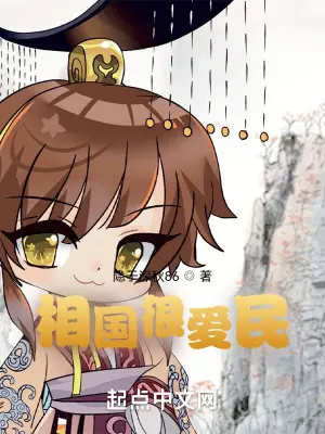 《相国很爱民》封面