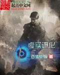 《虚实进化》封面