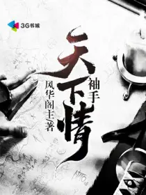 《袖手天下情》封面