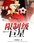 《限制级巨星》封面